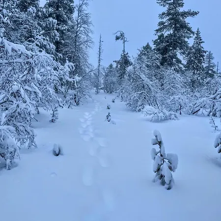 North Frontier Chalet Saariselkä
